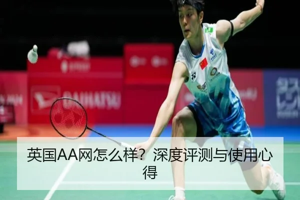英国AA网怎么样？深度评测与使用心得