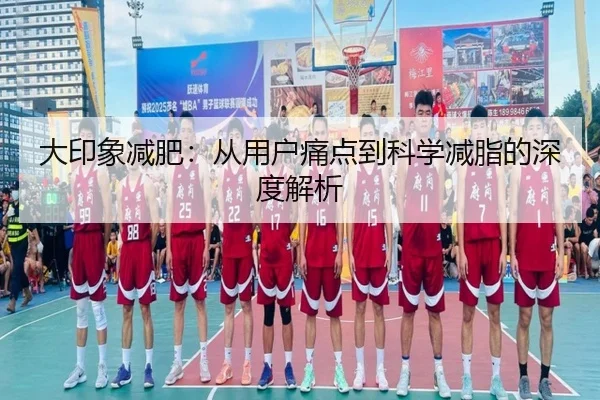 大印象减肥：从用户痛点到科学减脂的深度解析